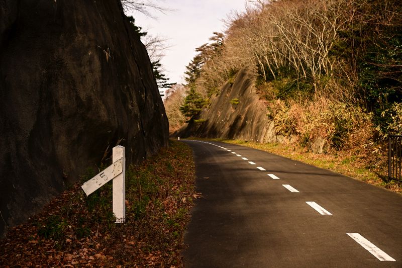 看板右上にある写真と同じ場所であることがわかる（筆者撮影）