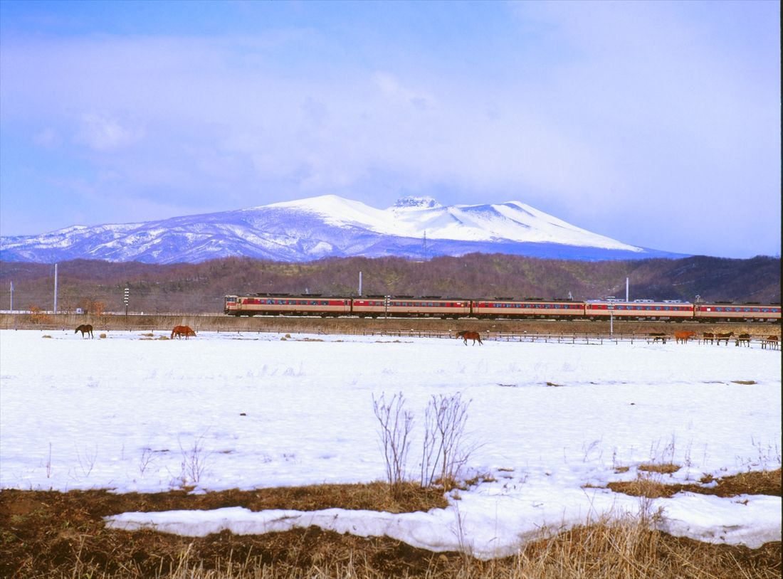 樽前山をバックに社台ファーム付近を行くキハ82系の特急列車（撮影：南正時）