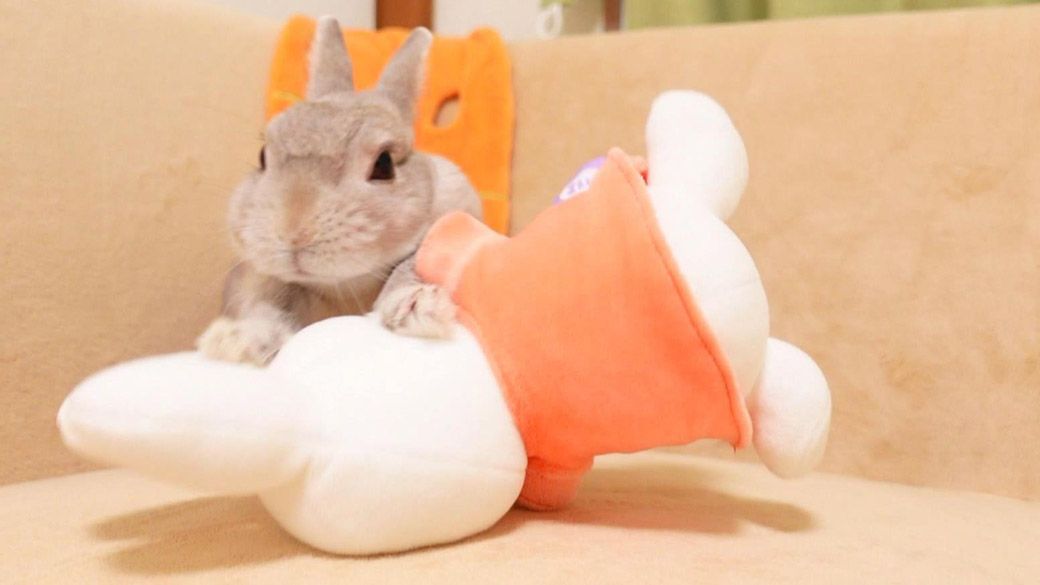 （写真：やすさん提供）