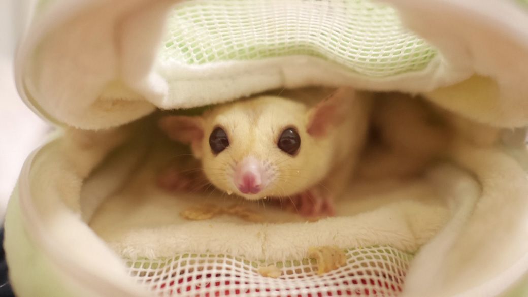 （写真提供：ひろさん）