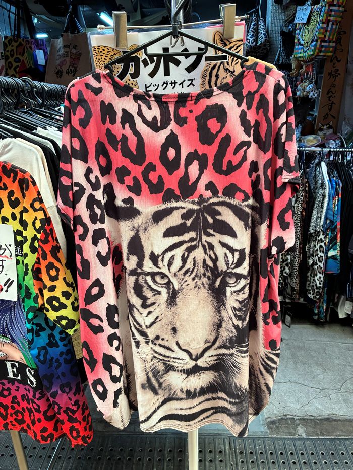 ニヒルなトラの表情がカッコいい一枚（筆者撮影）