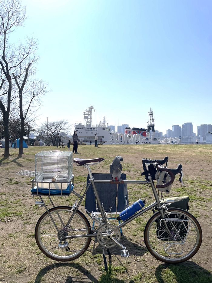 外に連れ出す際は、キクノスケくんに必ずハーネスとリードをつけている（写真提供：カマタさん）