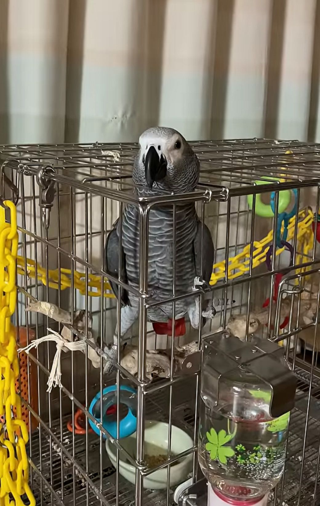 （写真提供：カマタさん）