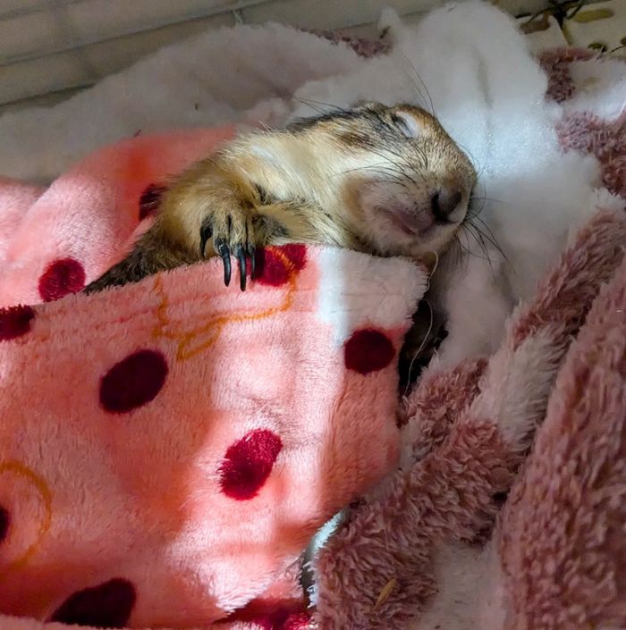 （写真提供：まる子さん）
