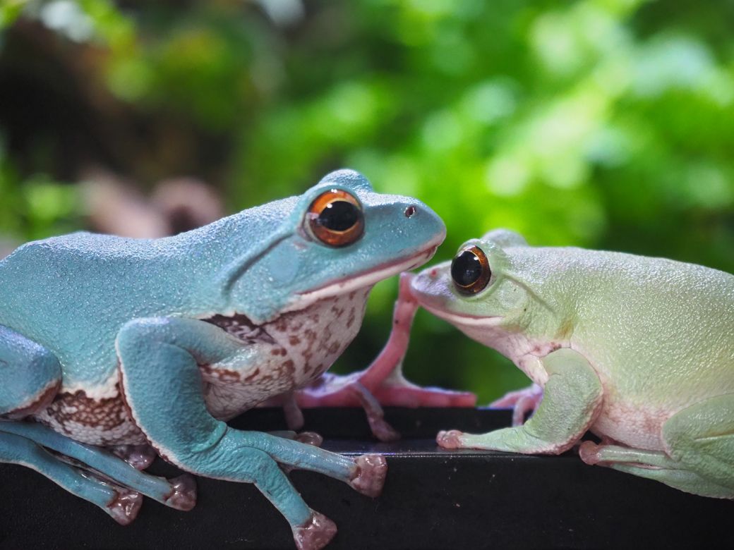 （写真提供：ぴよさん）