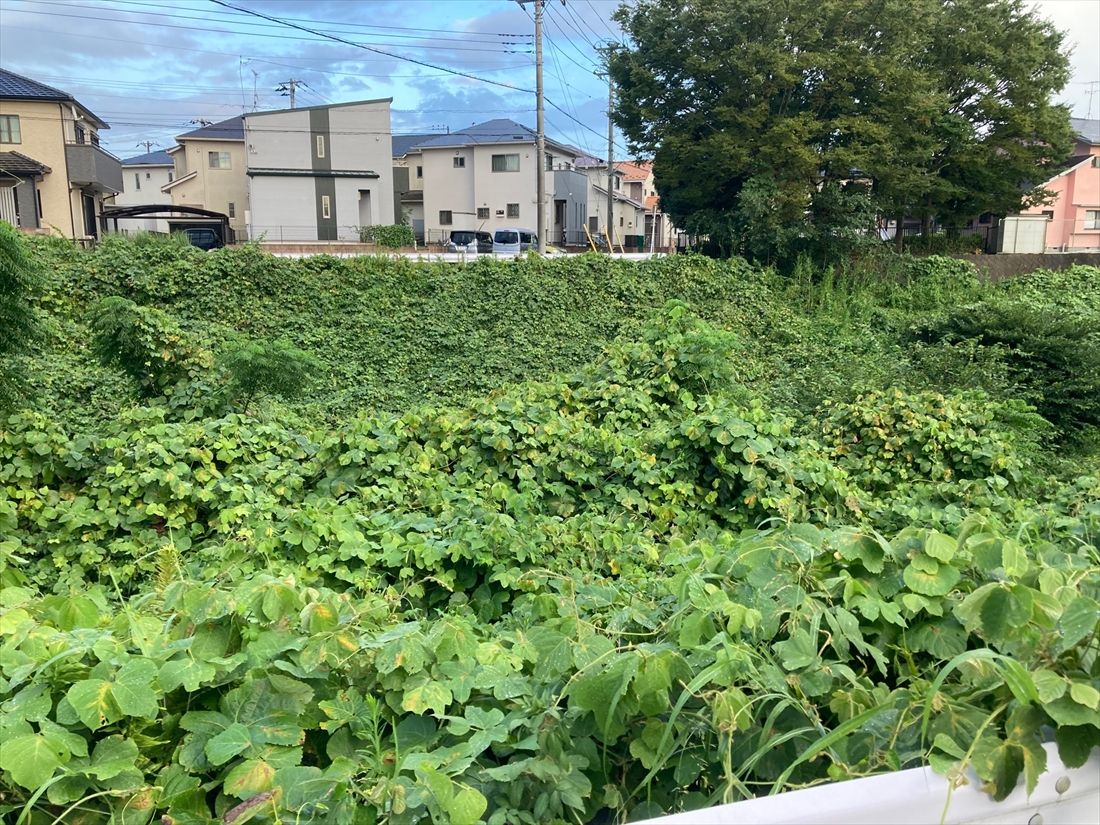 各地にある千原線の延伸用地（筆者撮影）