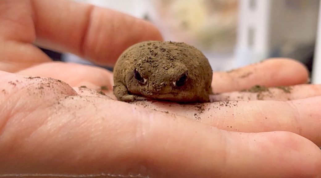 （写真提供：ぴよさん）