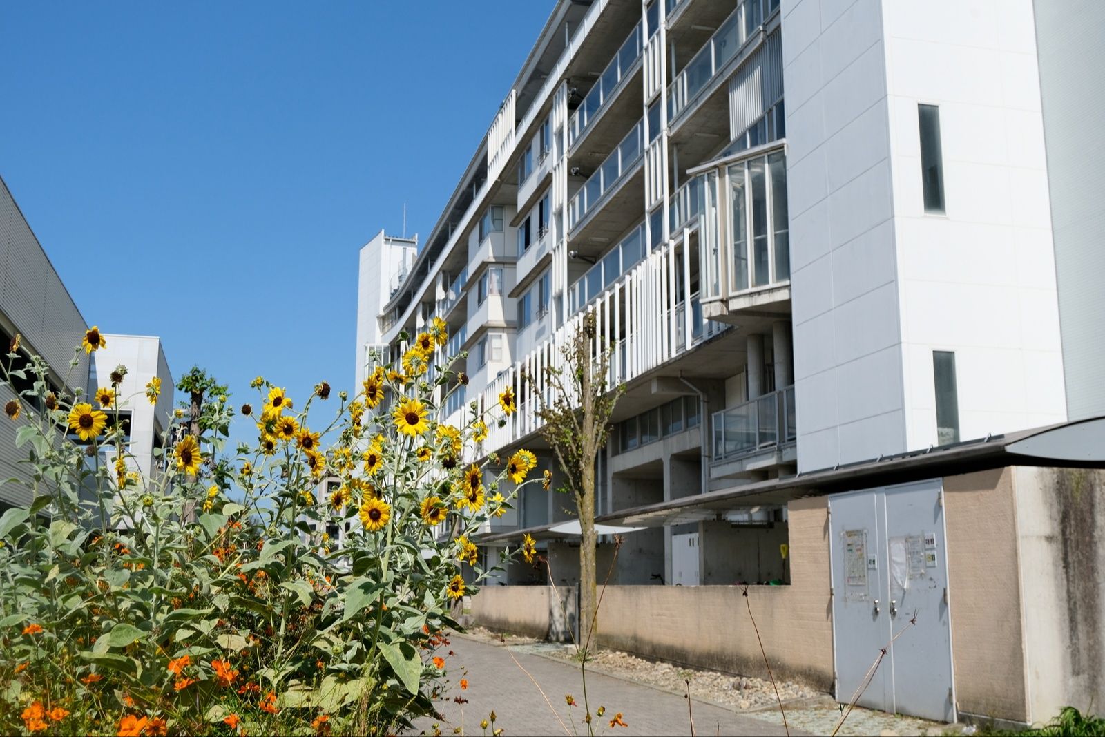 今井ニュータウン