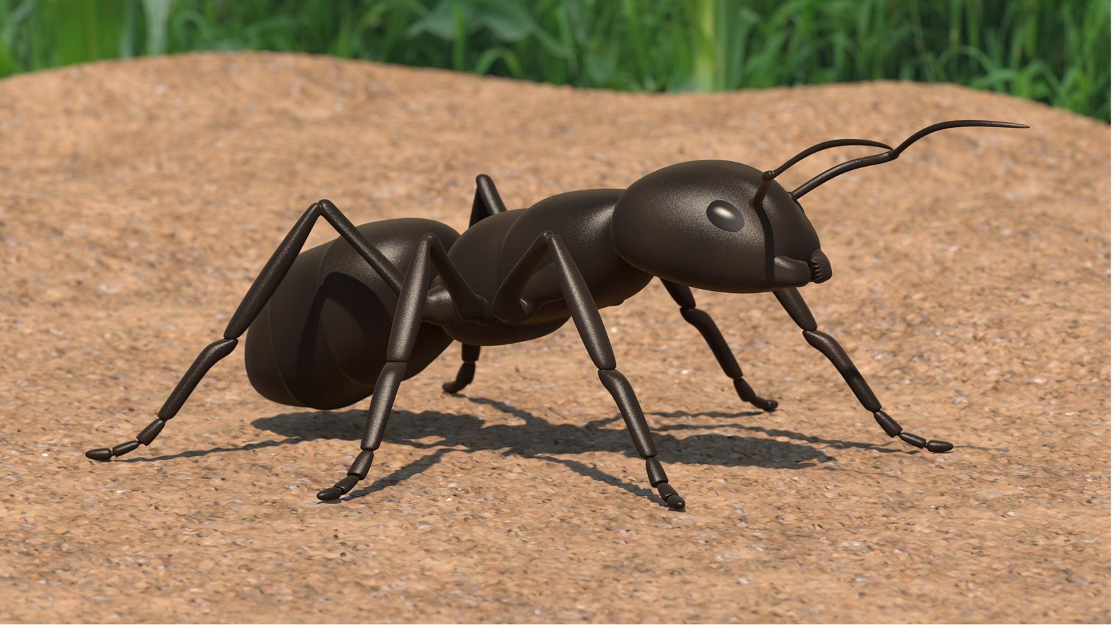 アリという昆虫の 最期 はあまりに突然訪れる 雑学 東洋経済