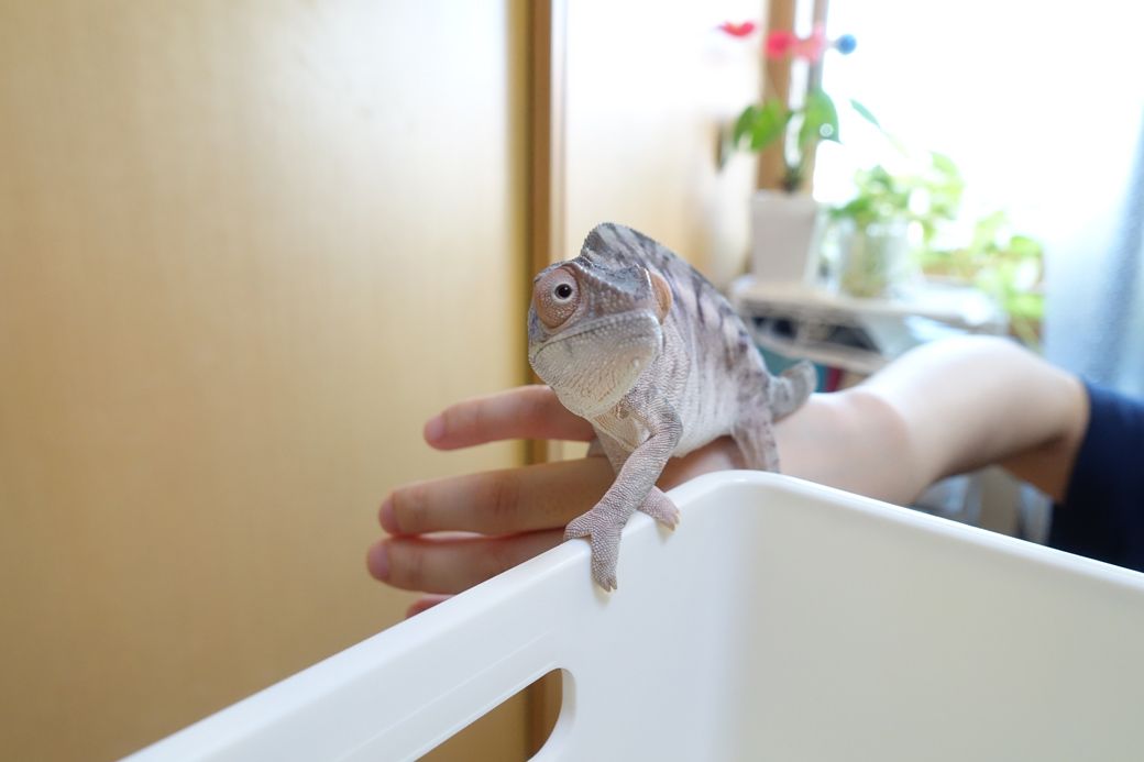 （写真提供：山村さん）