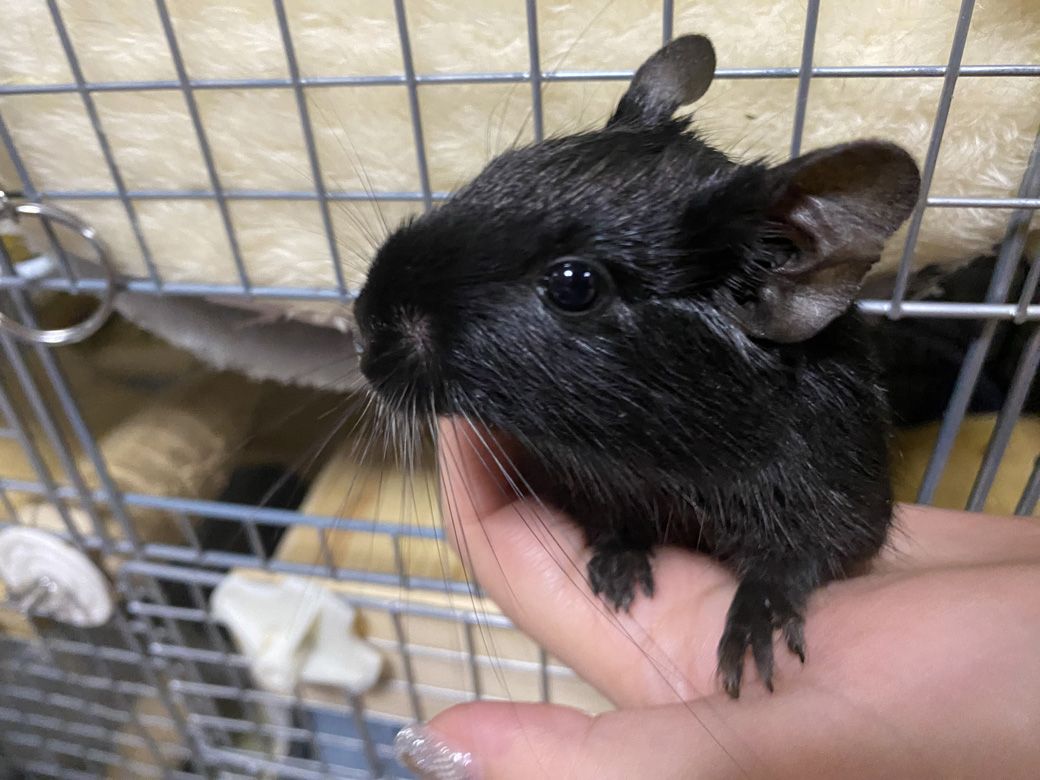 （写真：みきさん）