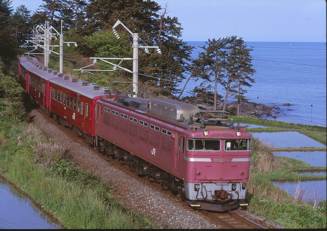 羽越本線を走るEF81形牽引の普通列車。50系客車を連ねた編成だ（撮影：南正時）