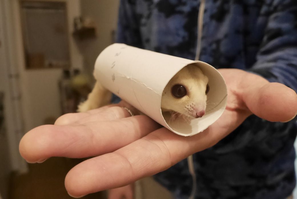 （写真提供：ひろさん）