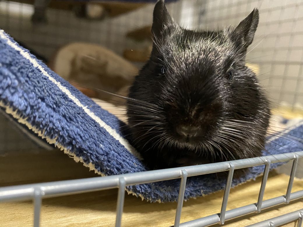 （写真：みきさん）