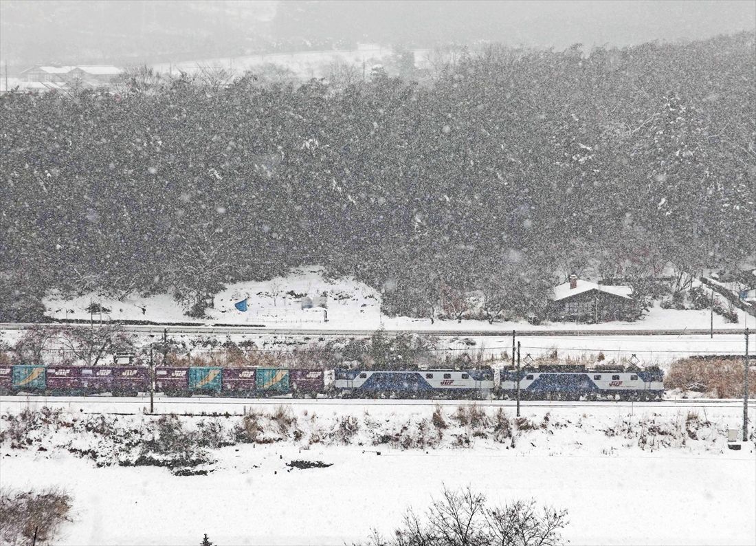 吹雪の上越線を走るEF64形1000番台重連が牽引する貨物列車（撮影：南正時）