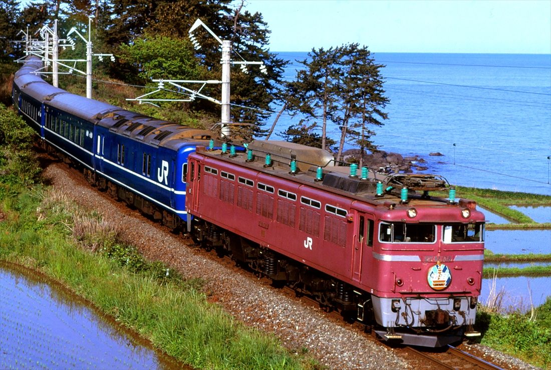 羽越本線小砂川付近を走る、EF81形牽引の寝台特急「出羽」（撮影：南正時）