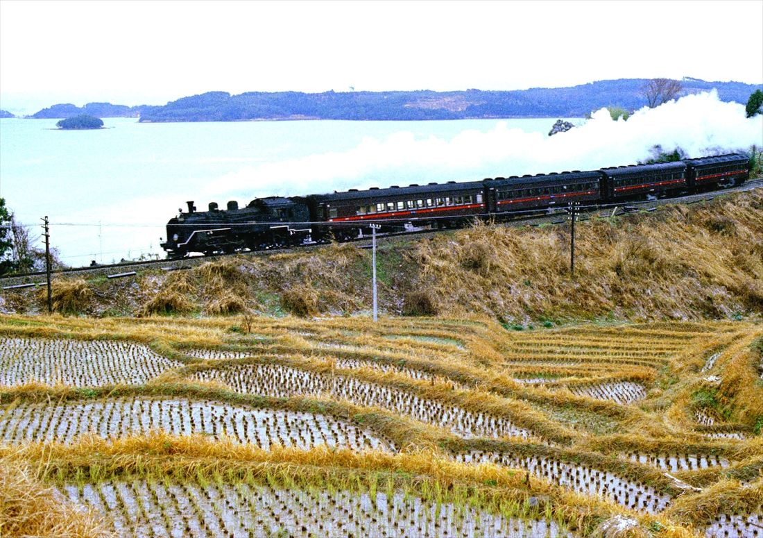 穴水湾を望む棚田が広がる能登中島―西岸間を走るC11形牽引の「ふるさと列車おくのと」号（撮影：南正時）