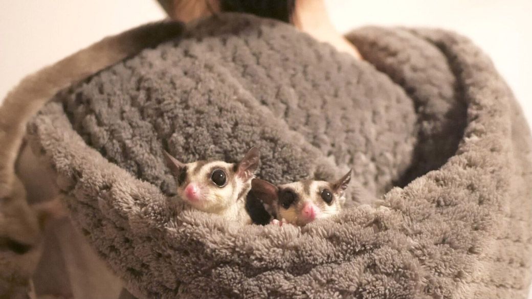 （写真：ひろさん提供）