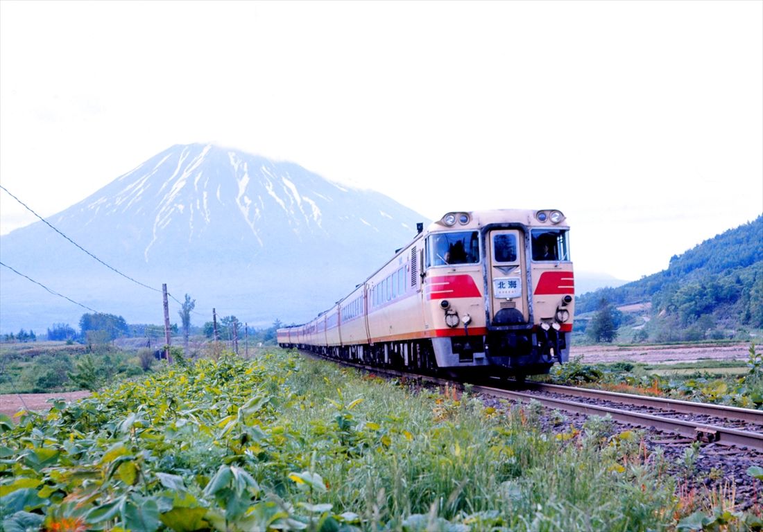 羊蹄山をバックに函館本線山線を行く特急「北海」（撮影：南正時）