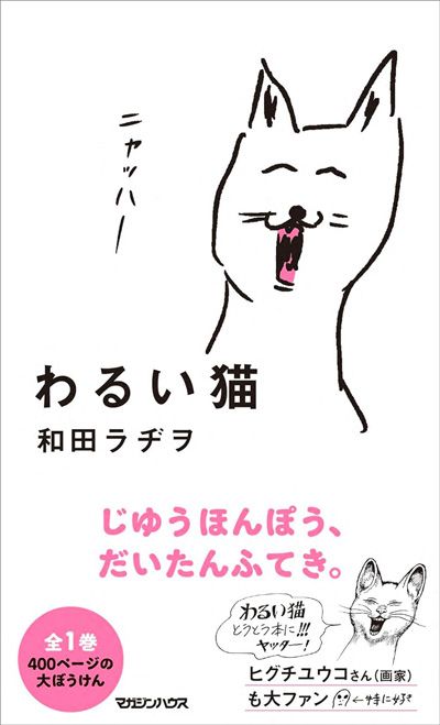 わるい猫