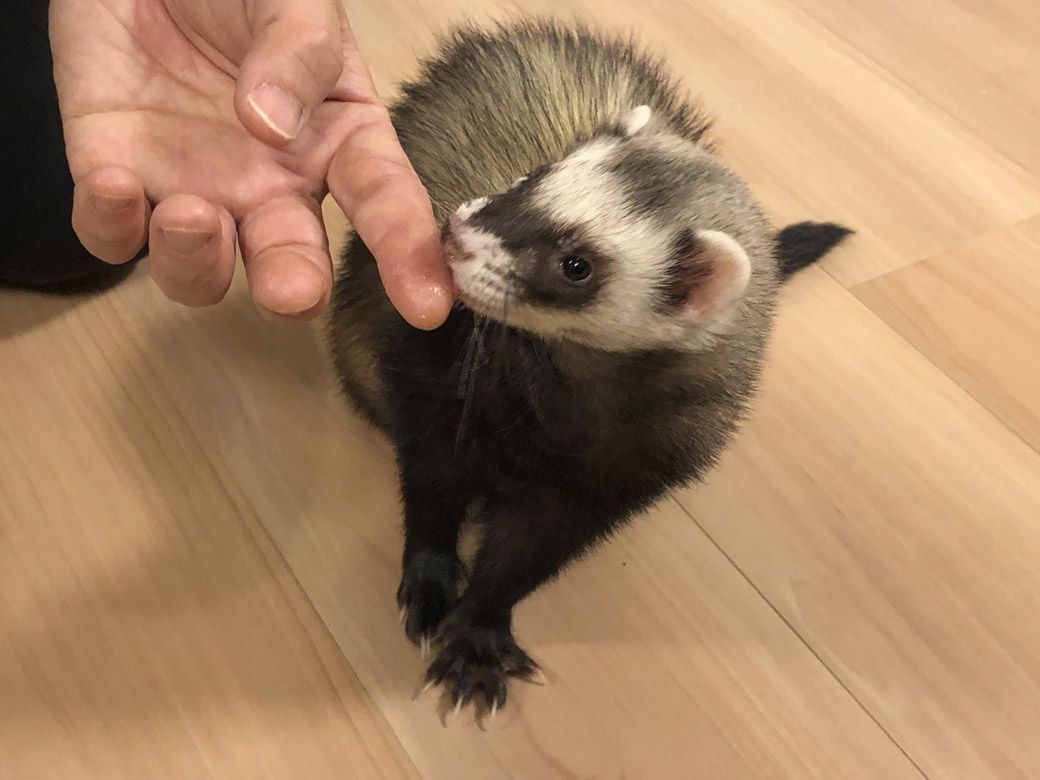 （写真提供：ミキさん）