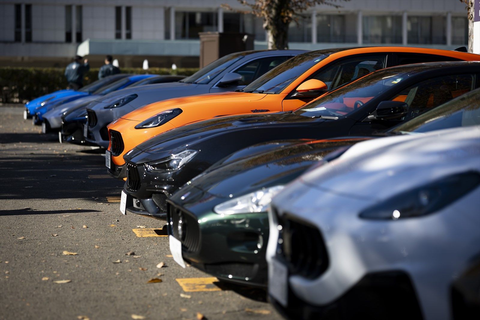 写真：Maserati Japan