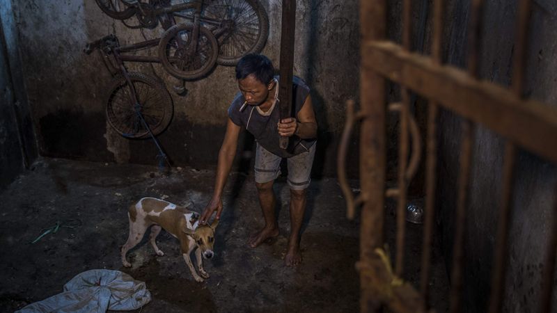 犬肉 の消費が急増するインドネシアの衝撃 The New York Times 東洋経済オンライン 経済ニュースの新基準