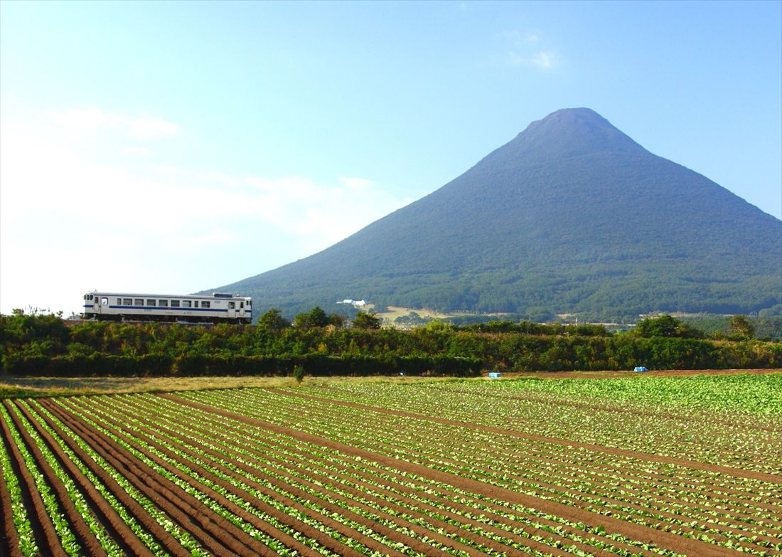 開聞岳をバックに走る指宿枕崎線の列車（撮影：南正時）