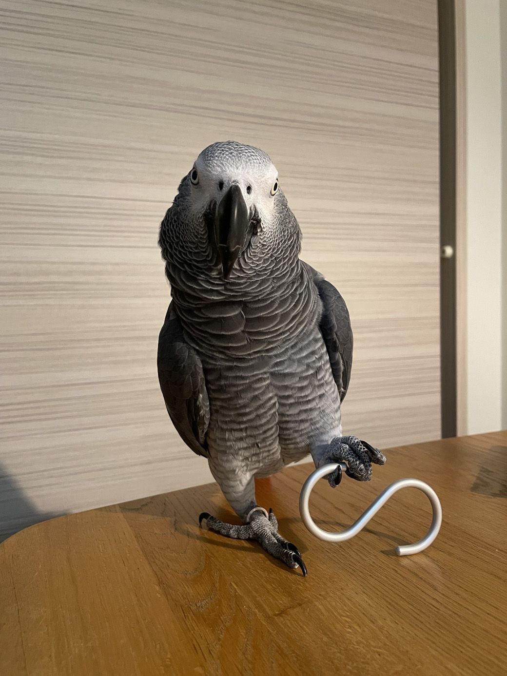 （写真提供：カマタさん）