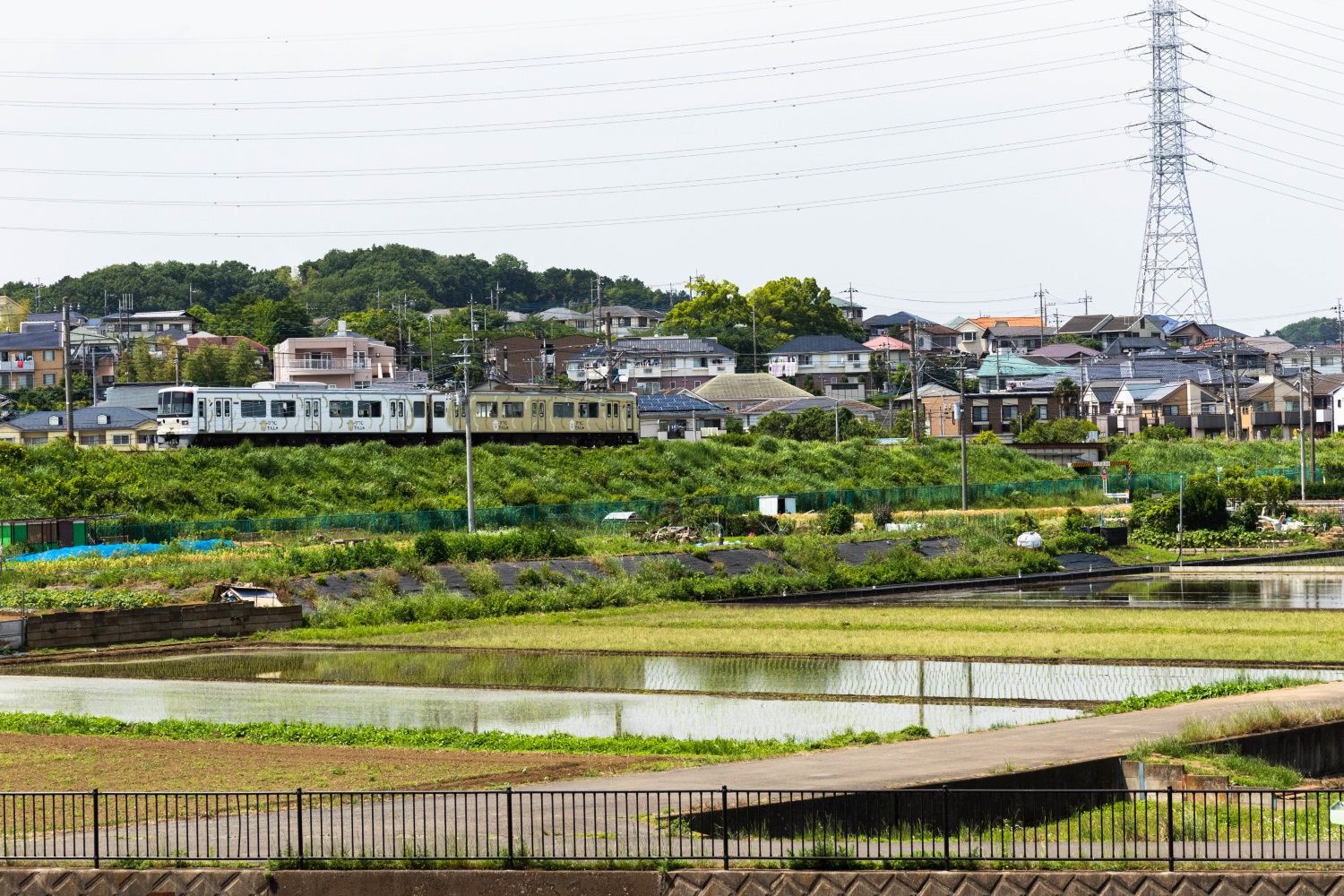 東急こどもの国線