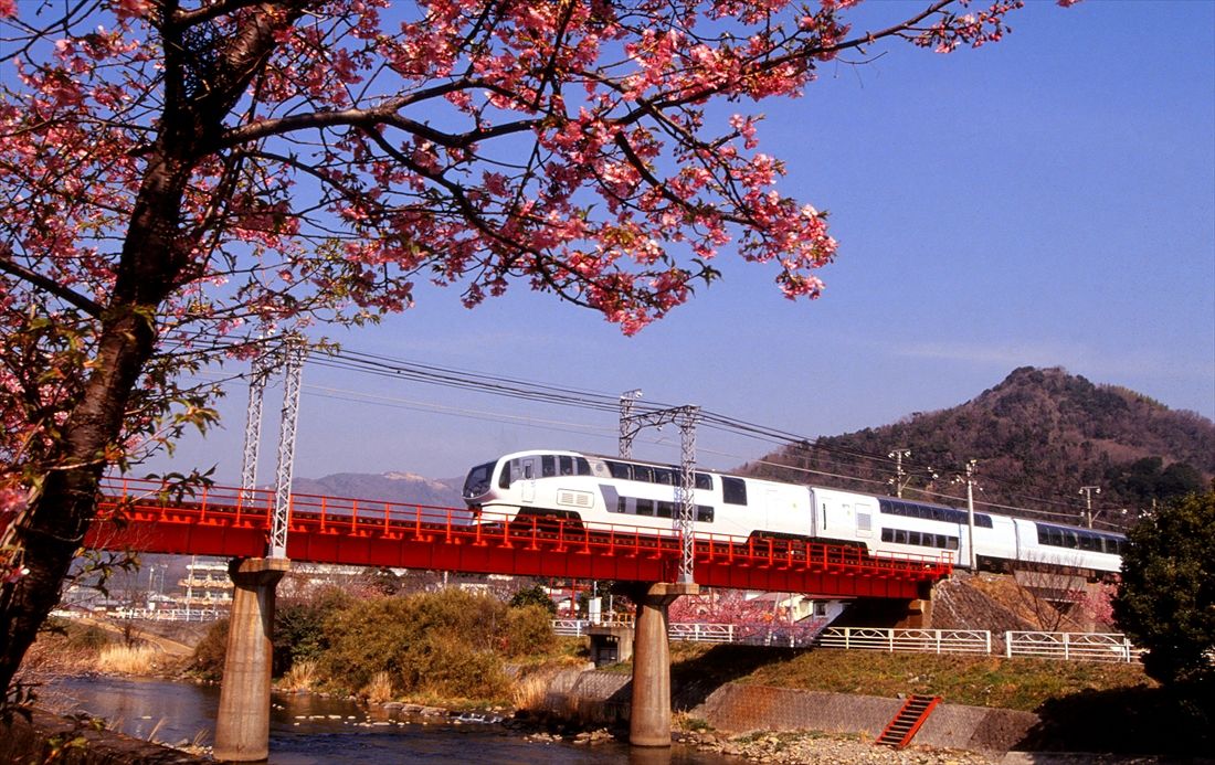 河津桜と「スーパービュー踊り子」（撮影：南正時）