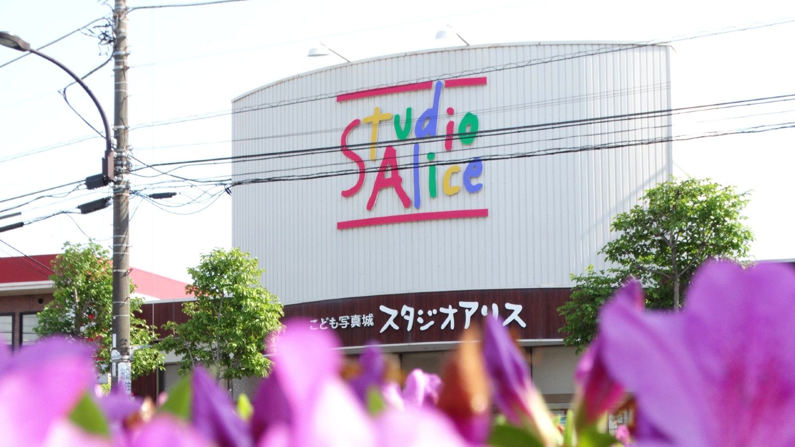 女性も輝くと会社も伸びる 女性出世企業 ランキング 会社四季報オンライン 女性も輝くと会社も伸びる 女性出世企業 ランキング 会社四季報オンライン