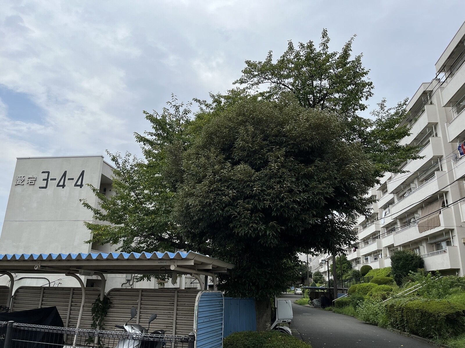 団地