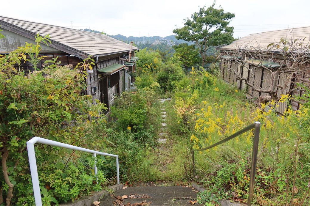 イベントなどで草刈りをしても人が住んでいないとあっという間に繁茂する。写真は筆者撮影時のもの（写真：筆者撮影）