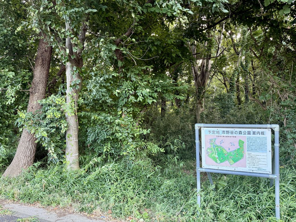 緑が生い茂っている中に「予定地　市野谷の森公園　案内板」を見つけた（筆者撮影）