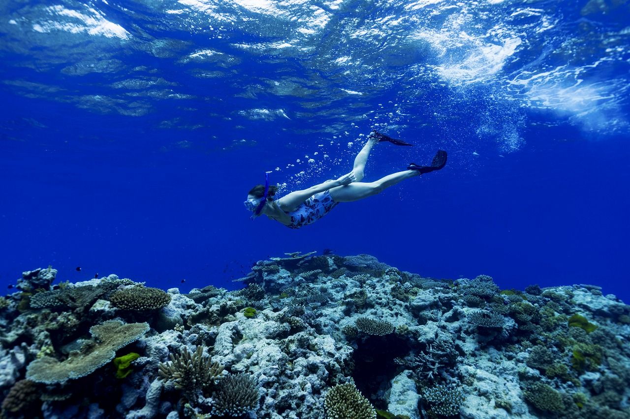 季節を飛び越えられるのも南半球へ旅の魅力（写真：クイーンズランド州政府観光局）