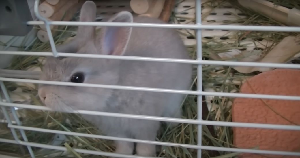 （写真提供：やすさん）