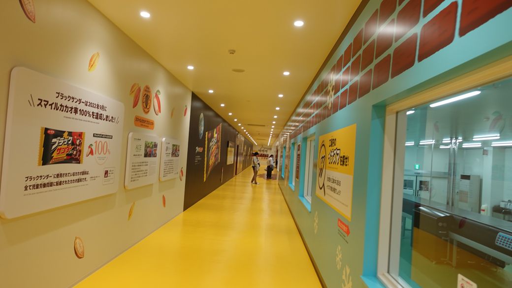 見学ライン（筆者撮影）