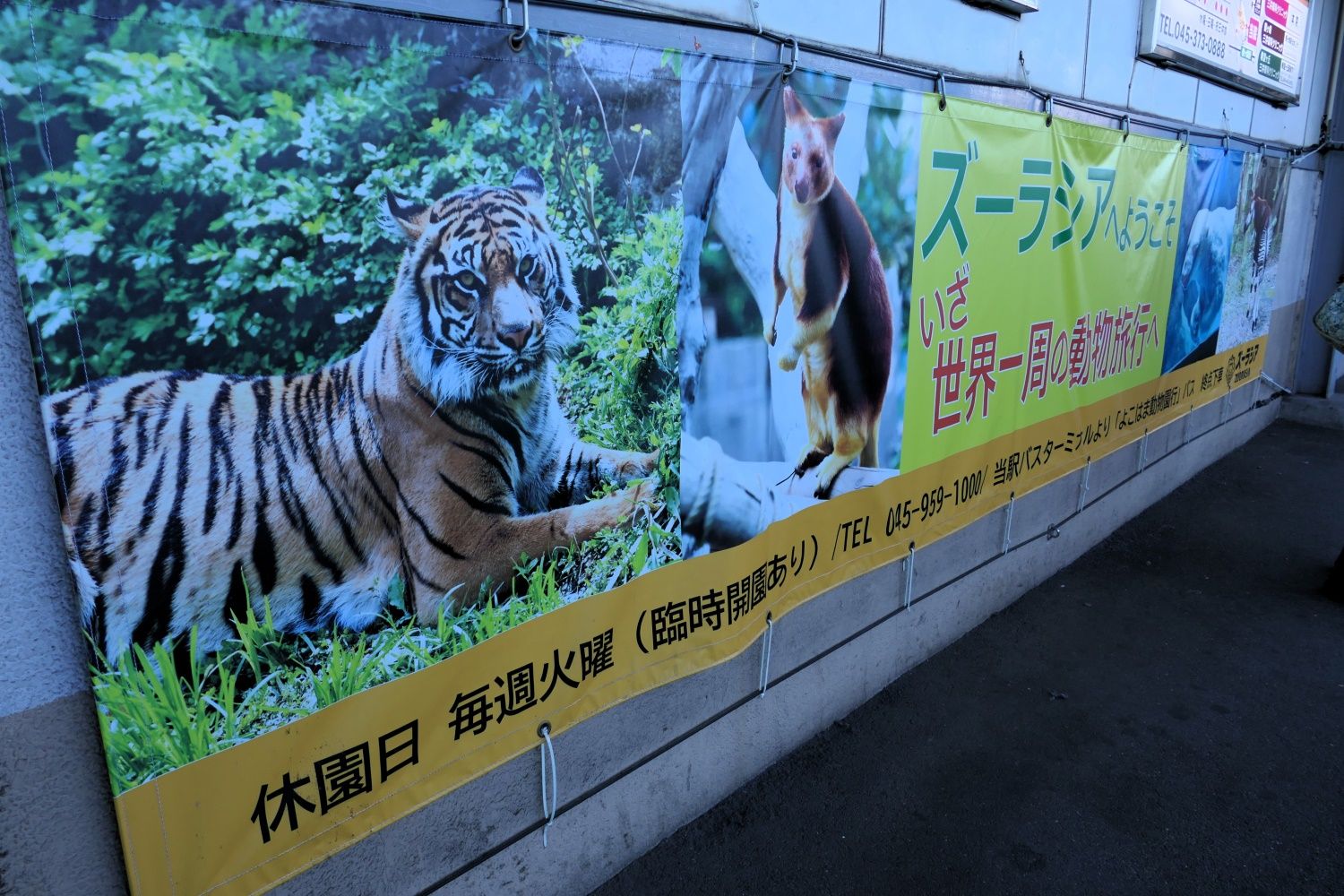 鶴ケ峰駅　ズーラシア