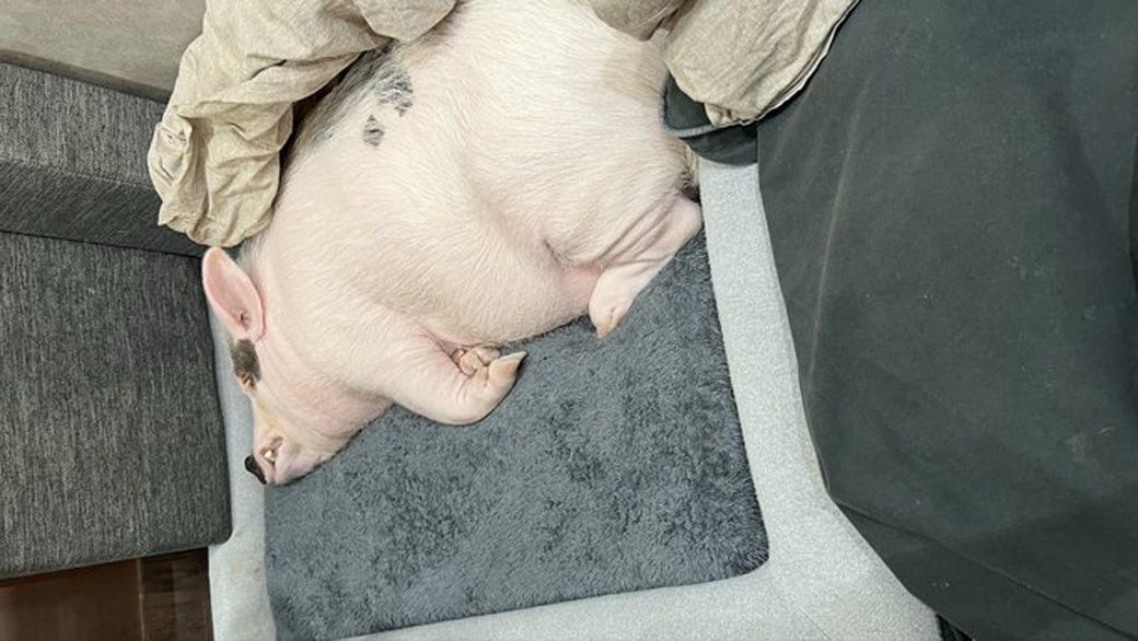 （写真提供：しおりさん）