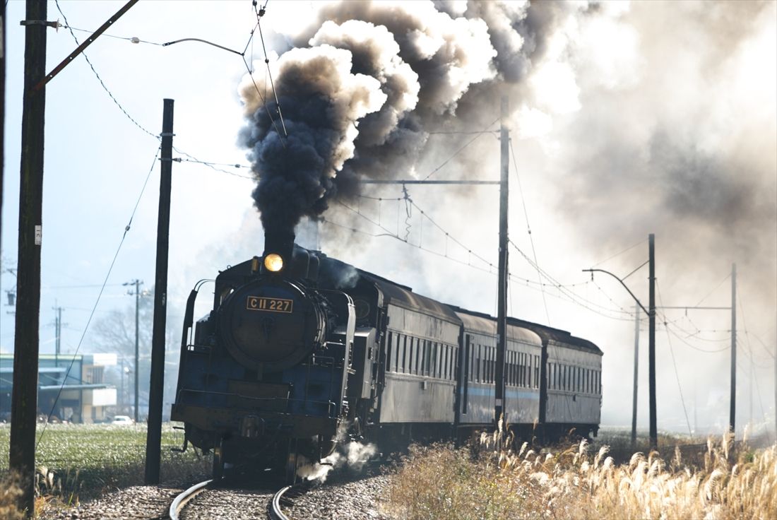 SL動態保存のパイオニア、大井川鉄道のC11形227号機（撮影：南正時）