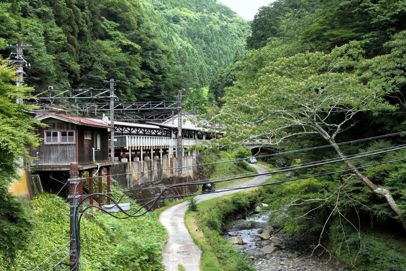 橋の上から見た極楽橋駅（記者撮影）