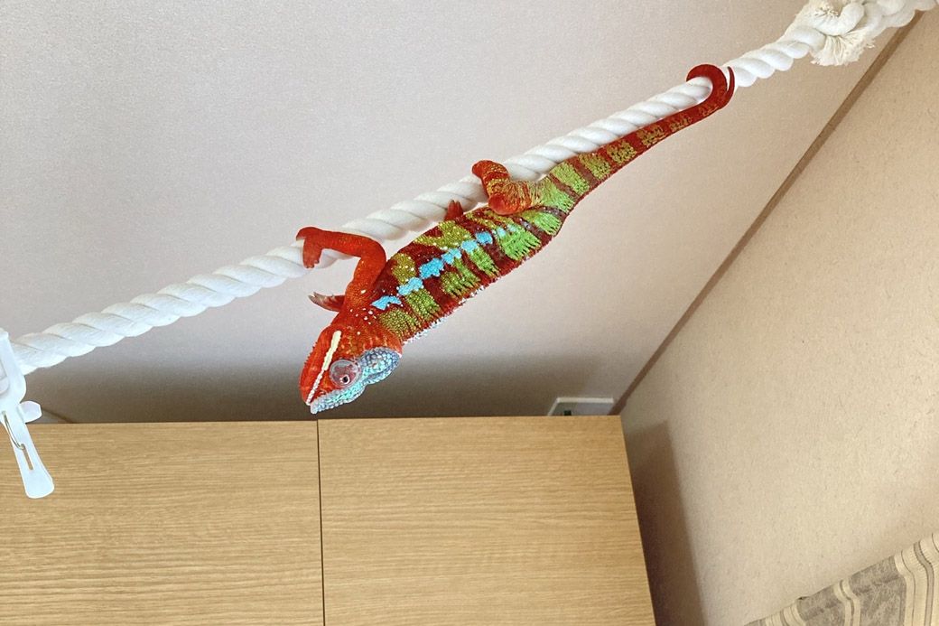 （写真：山村さん提供）