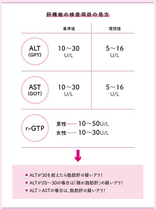 肝機能の検査項目の見方