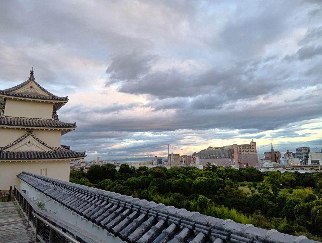 てっぺんからの景色（筆者撮影）