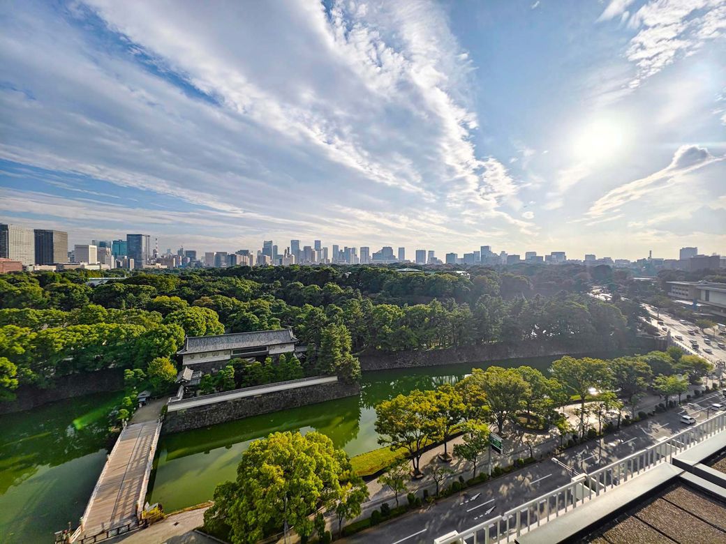 超広角で撮るとこの景色。緑の海の中にいる気分になる（筆者撮影）