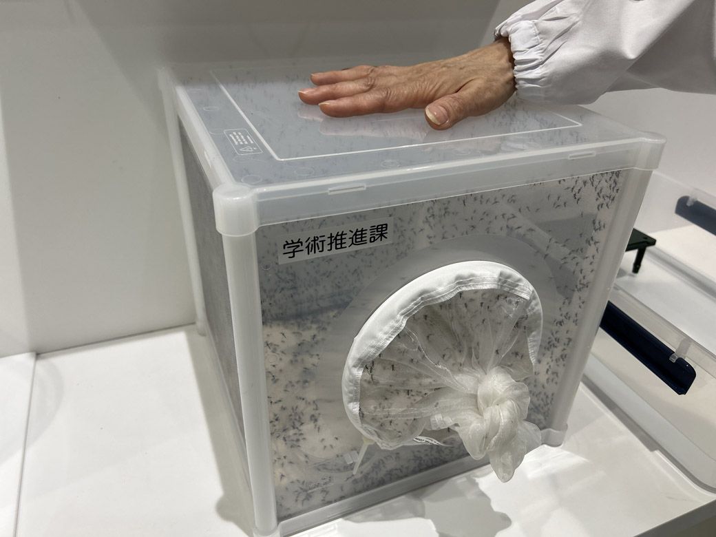 蚊の生態の、体験型展示（筆者撮影）