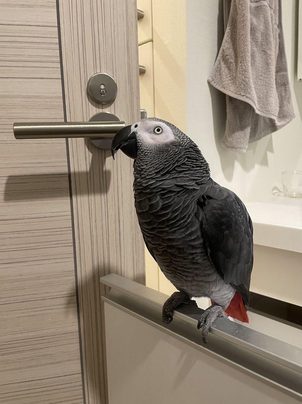 （写真提供：カマタさん）