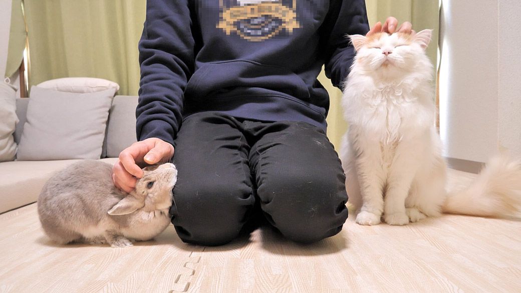 （写真：やすさん提供）