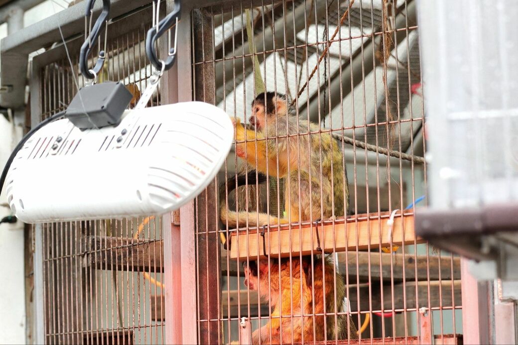 市川市動植物園